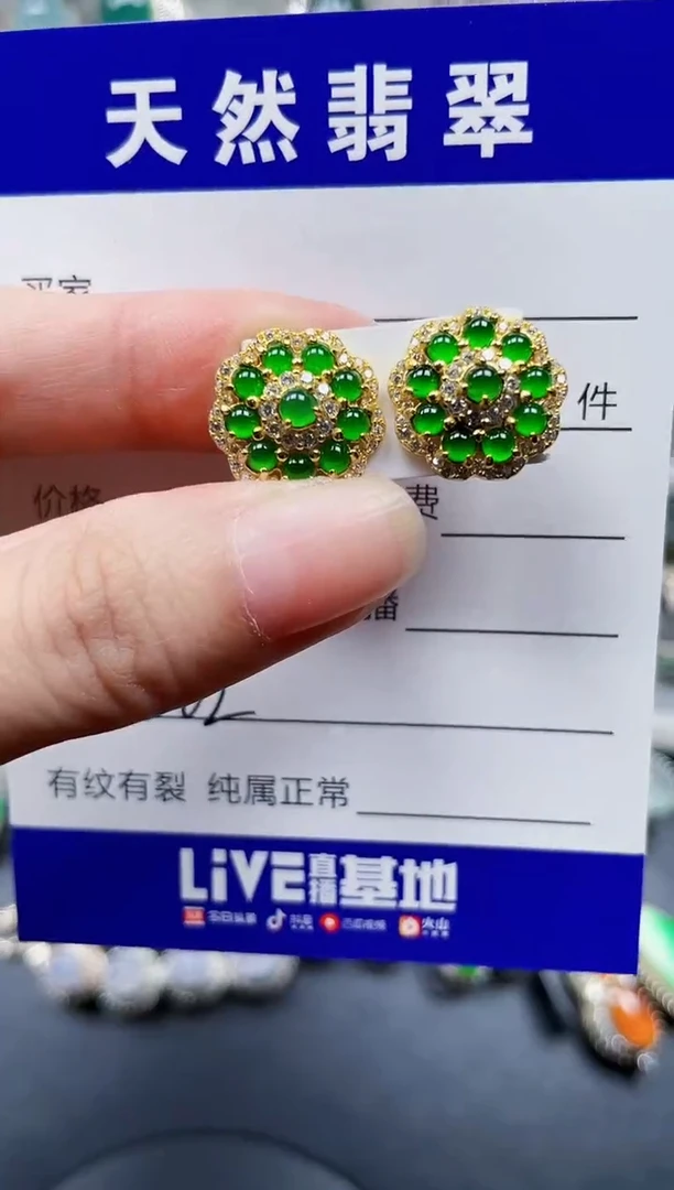 银S925镶嵌翡翠耳饰202