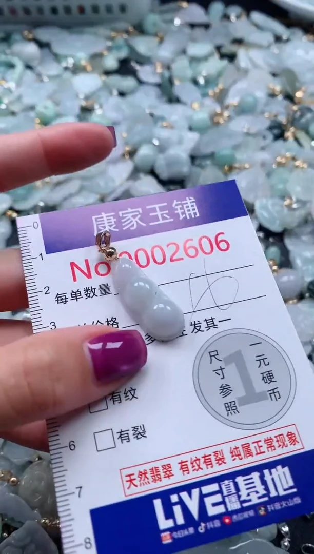 颈饰未镶嵌翡翠2606