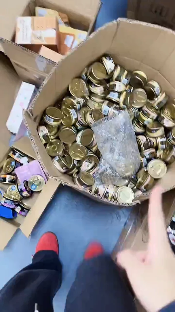 26.9靖靖希宝罐头*6个