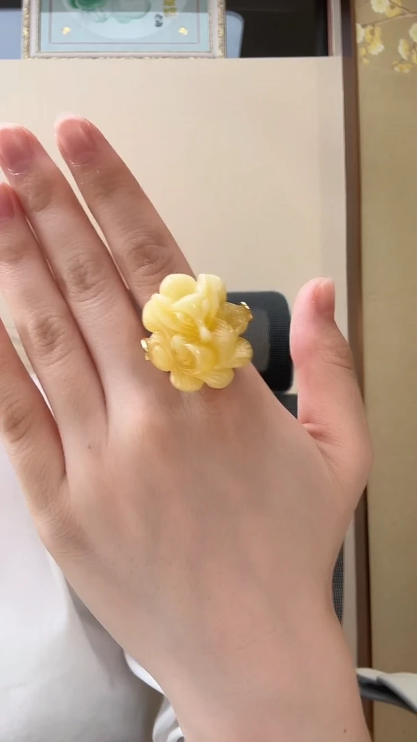 琥珀颈饰未镶嵌戒指