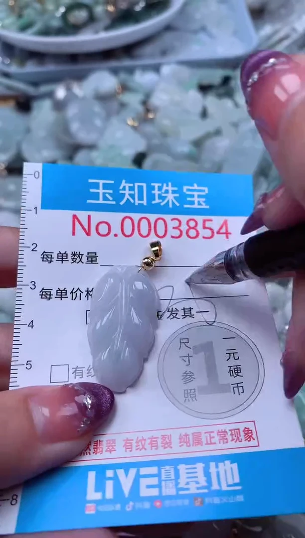 翡翠未镶嵌吊坠(不含链)3854