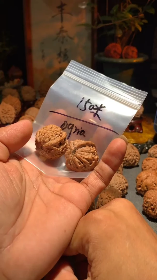 把件桃核O***a丰泰文玩金牛  31+ 尺寸左右