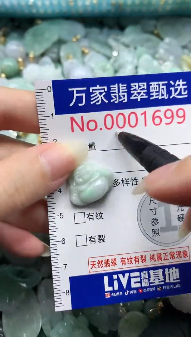 吊坠(不含链)未镶嵌翡翠1699