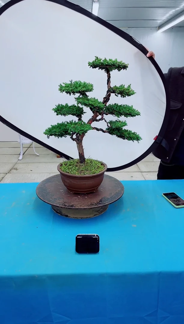 无花朵000000000000