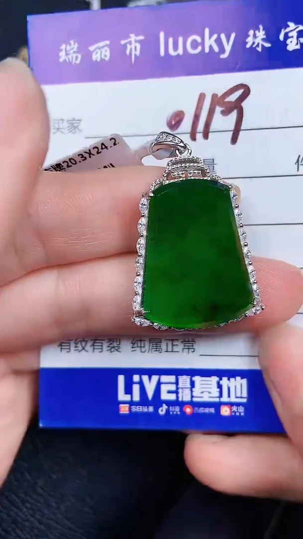 颈饰银S925镶嵌翡翠0119*