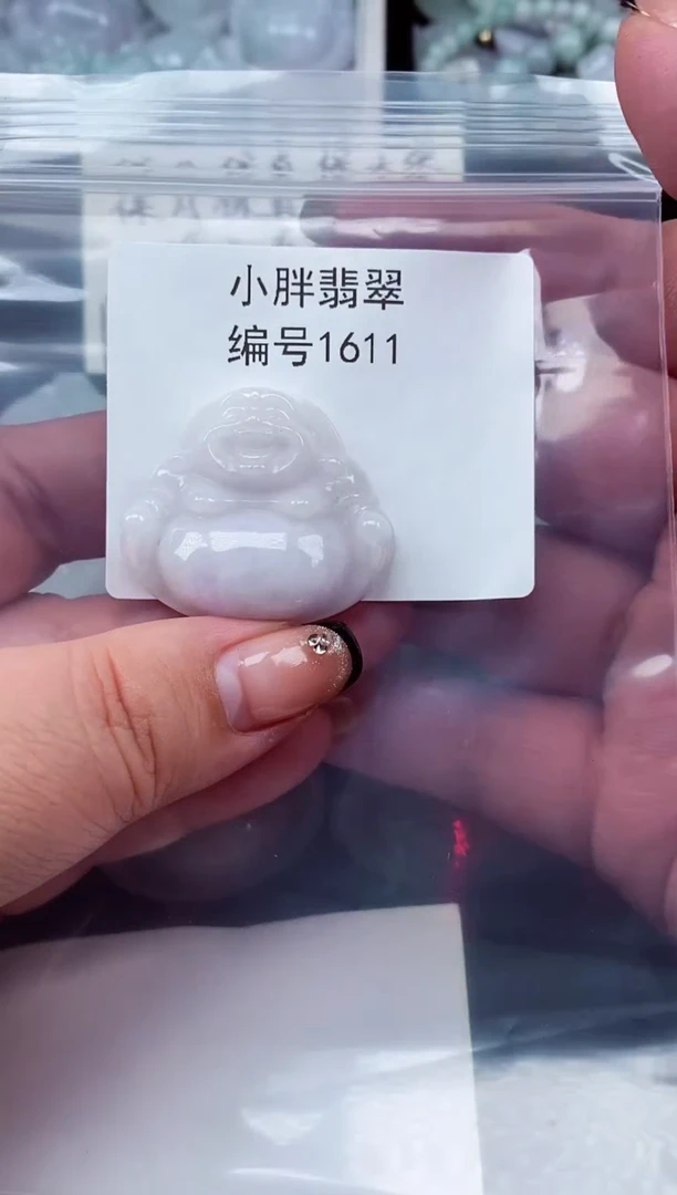 颈饰未镶嵌翡翠天然A货翡翠1611