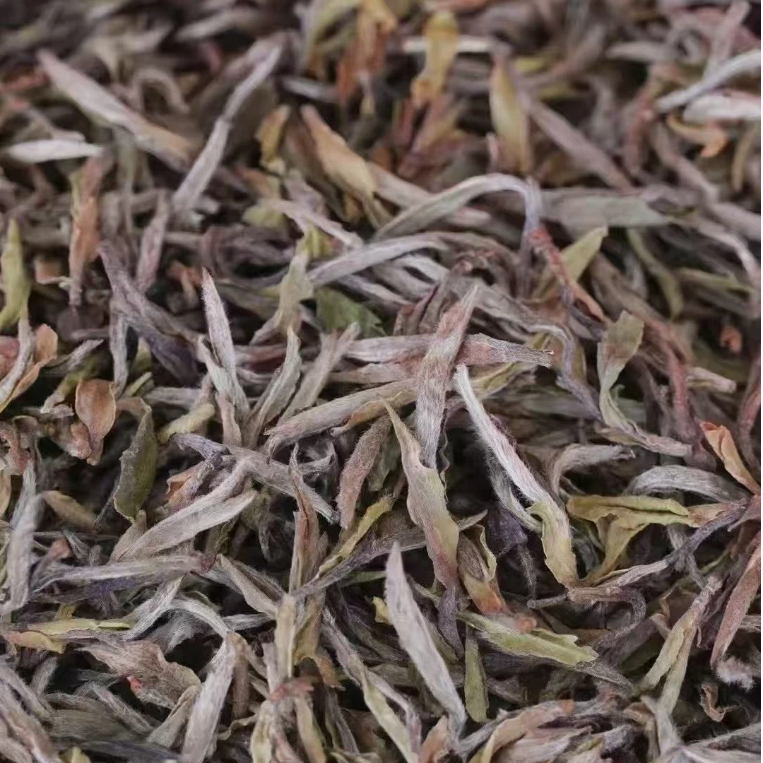 贡眉银针（群体种）2022年银针50克 不支持试喝