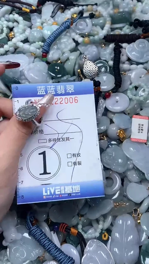 【闪购商品】翡翠颈饰未镶嵌闪购0122006