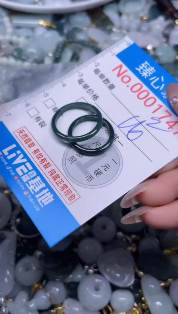 颈饰未镶嵌翡翠1747