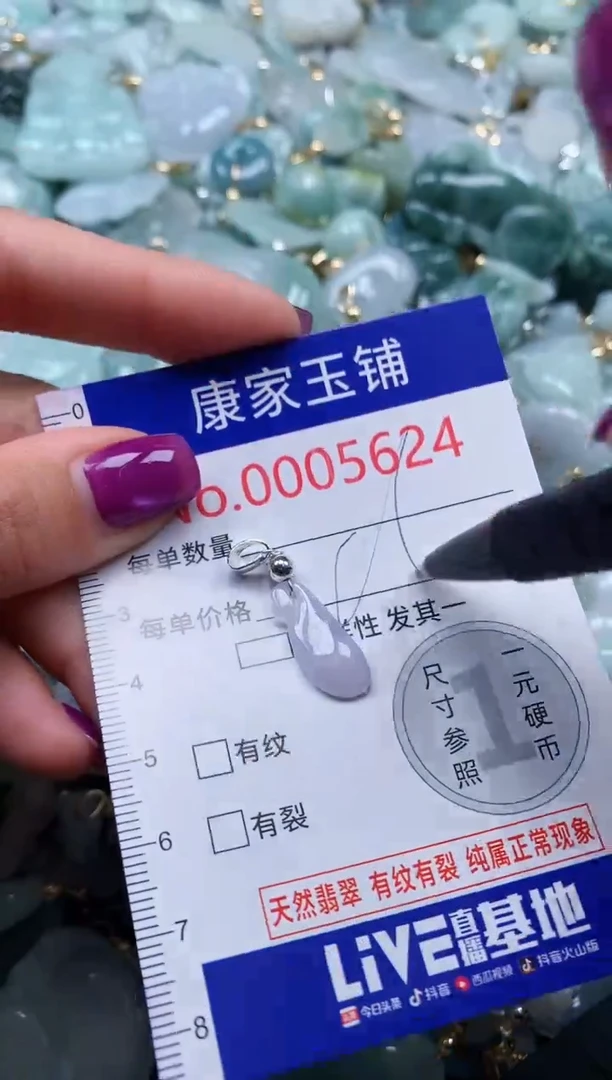 颈饰未镶嵌翡翠5624