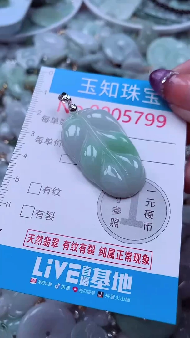 翡翠未镶嵌吊坠(不含链)5799