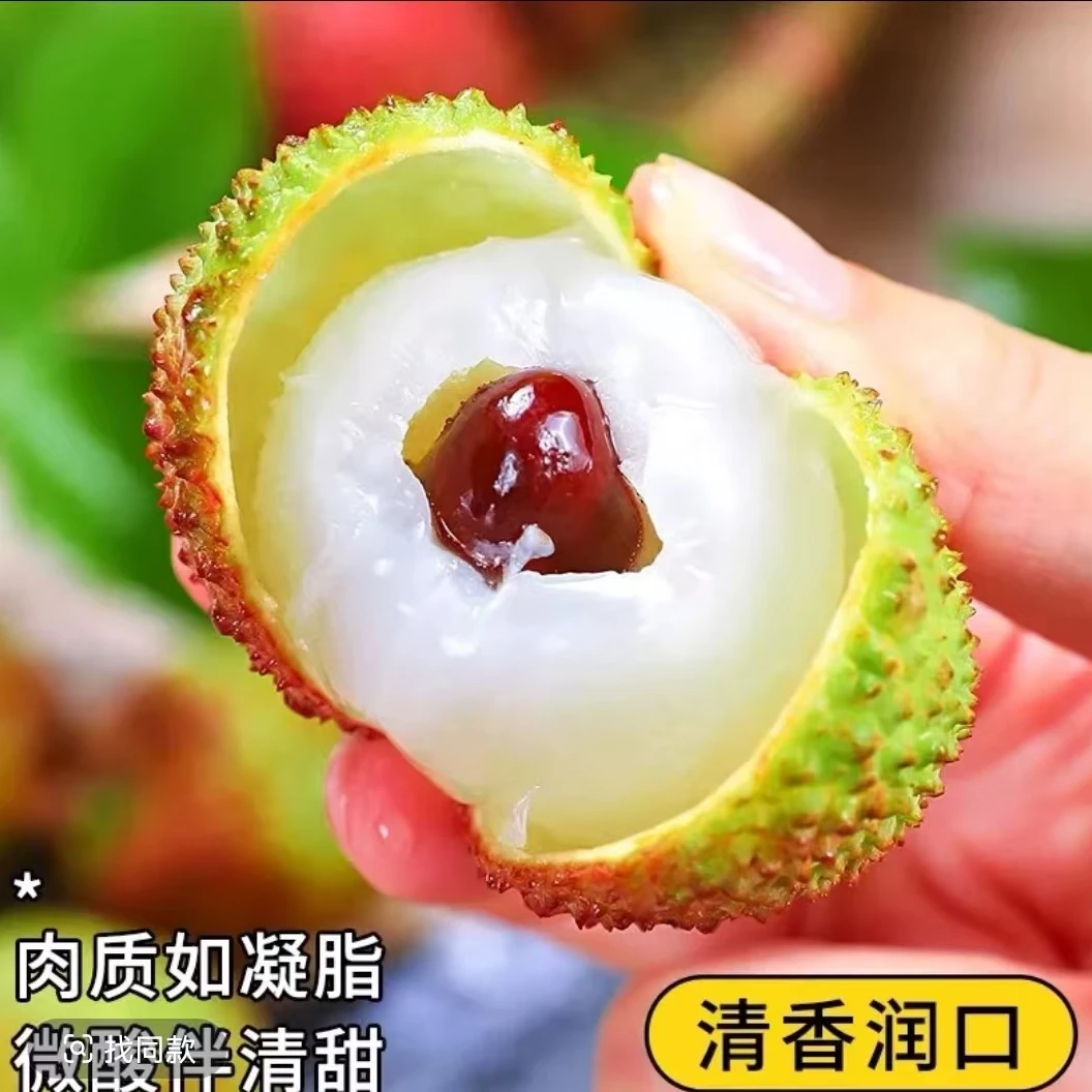 海南空运妃子笑荔枝3斤-5斤顺丰冷链包邮荔枝同城送荔枝同城送新鲜