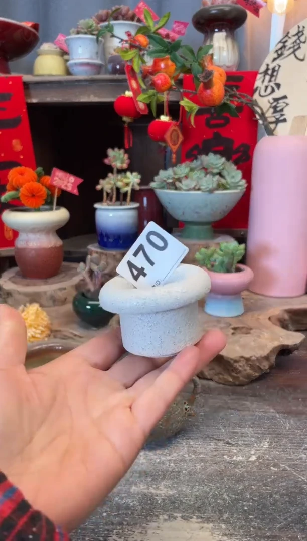 【闪购商品】摆件470知木小芳花盆