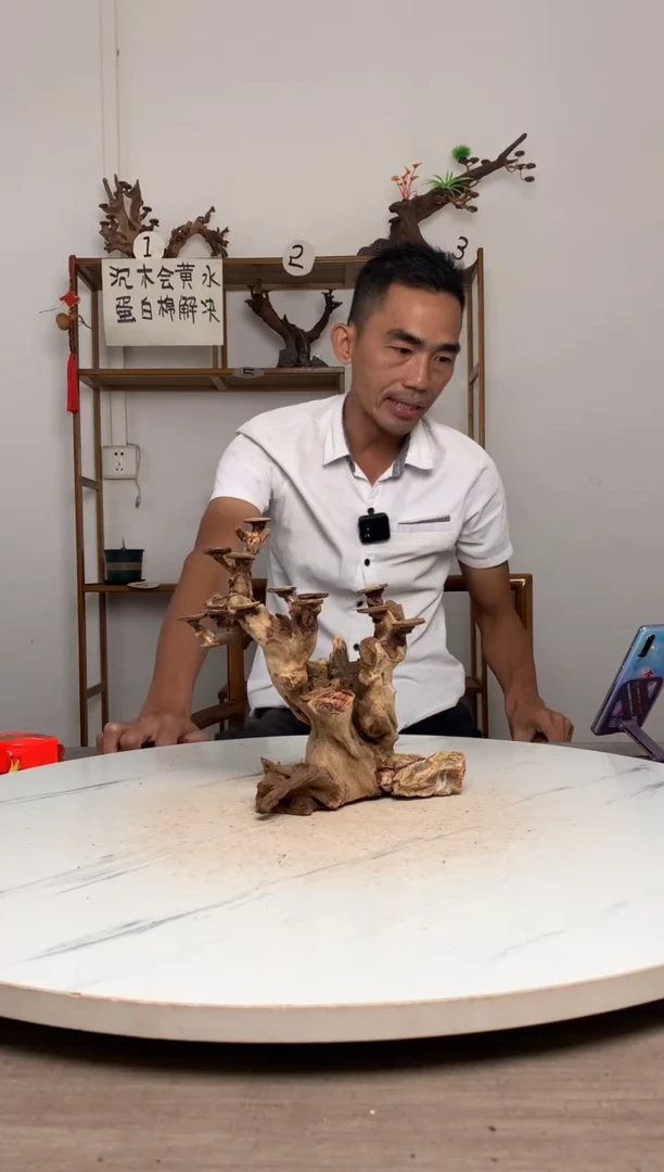 ?****?鱼缸造景沉木摆件