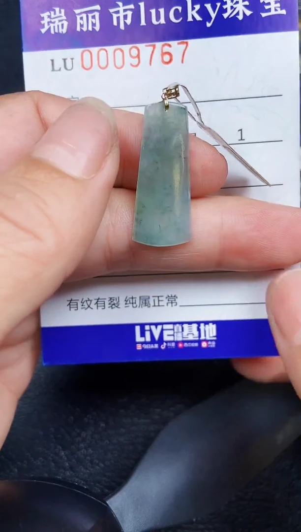 翡翠18K金镶嵌颈饰976718k