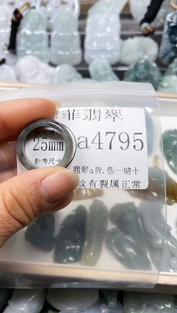 【闪购商品】翡翠颈饰未镶嵌闪购4795