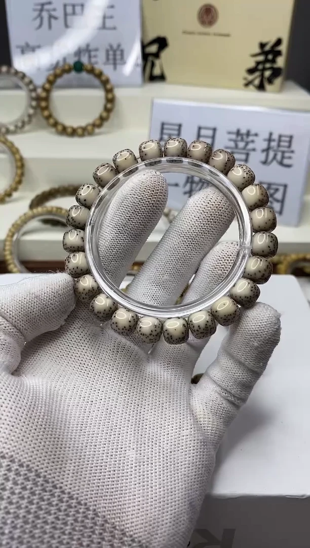手串星月菩提一物一图-W100