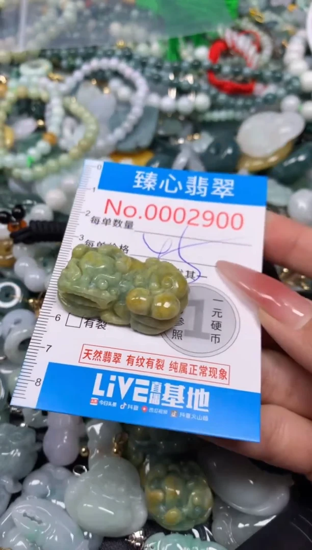 【闪购商品】翡翠颈饰未镶嵌含绳0002900