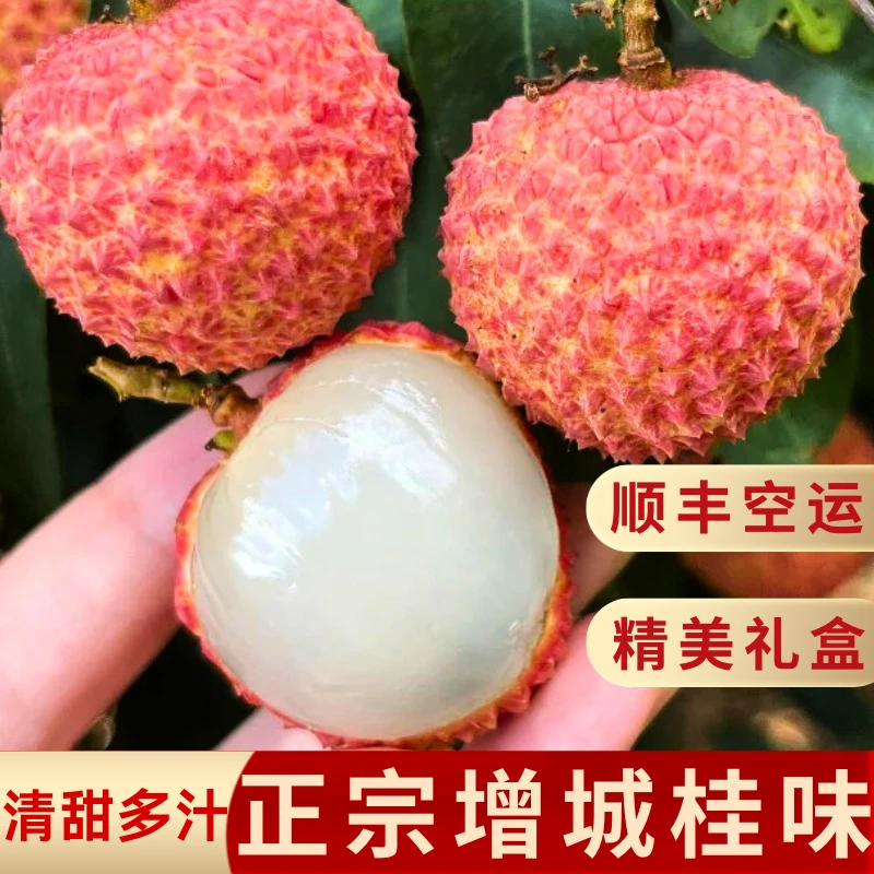 【增城桂味荔枝】顺丰冷链空运正宗清甜多汁3斤5斤10斤礼盒装
