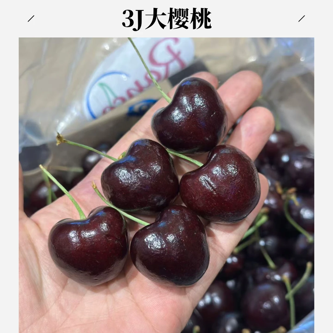 3J大樱桃2500克