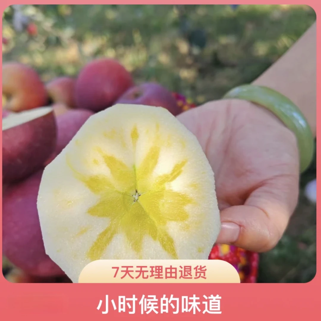昭通冰糖心丑苹果（红富士）2025新果