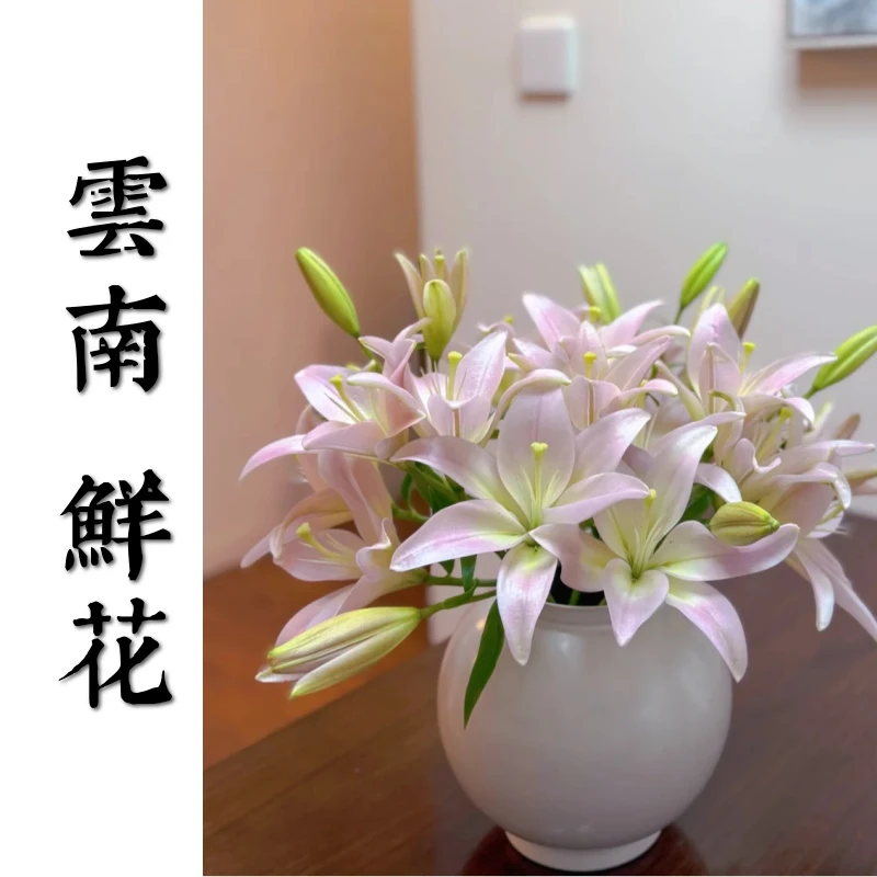 鲜花甄选【粉佳人亚百合】 云南鲜花基地直发