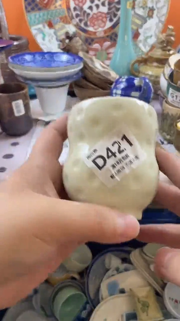 瓷片j****e默认微瑕，介意慎拍D421