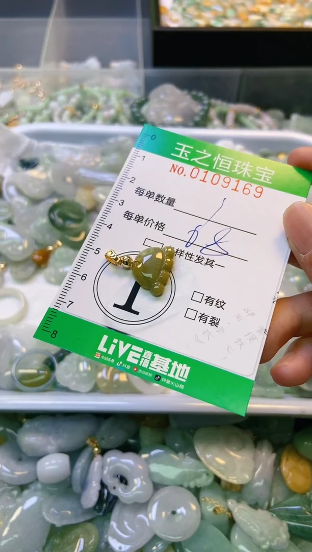 翡翠未镶嵌颈饰闪购0109169