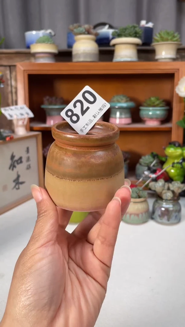 瓷片福利820知木小芳花盆编号