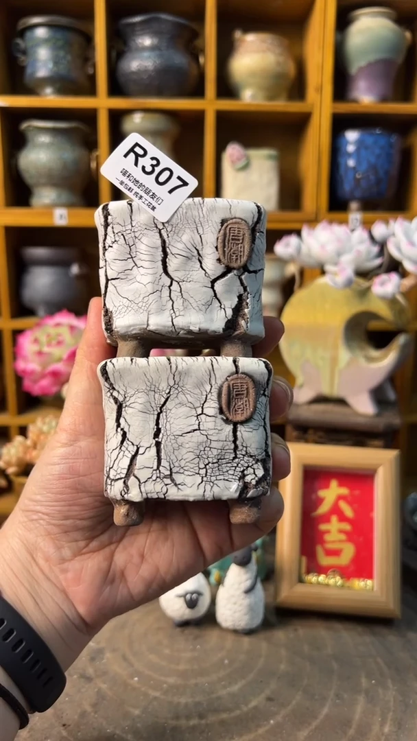 307 内口5.5【多肉花盆多肉盆】