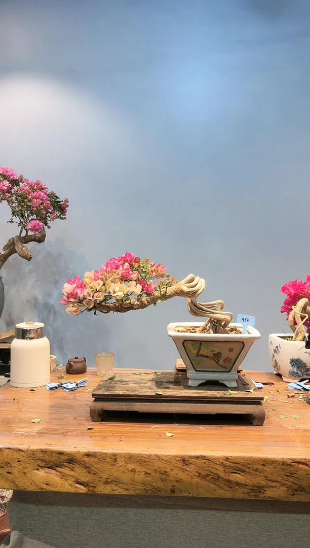 【闪购商品】AA950