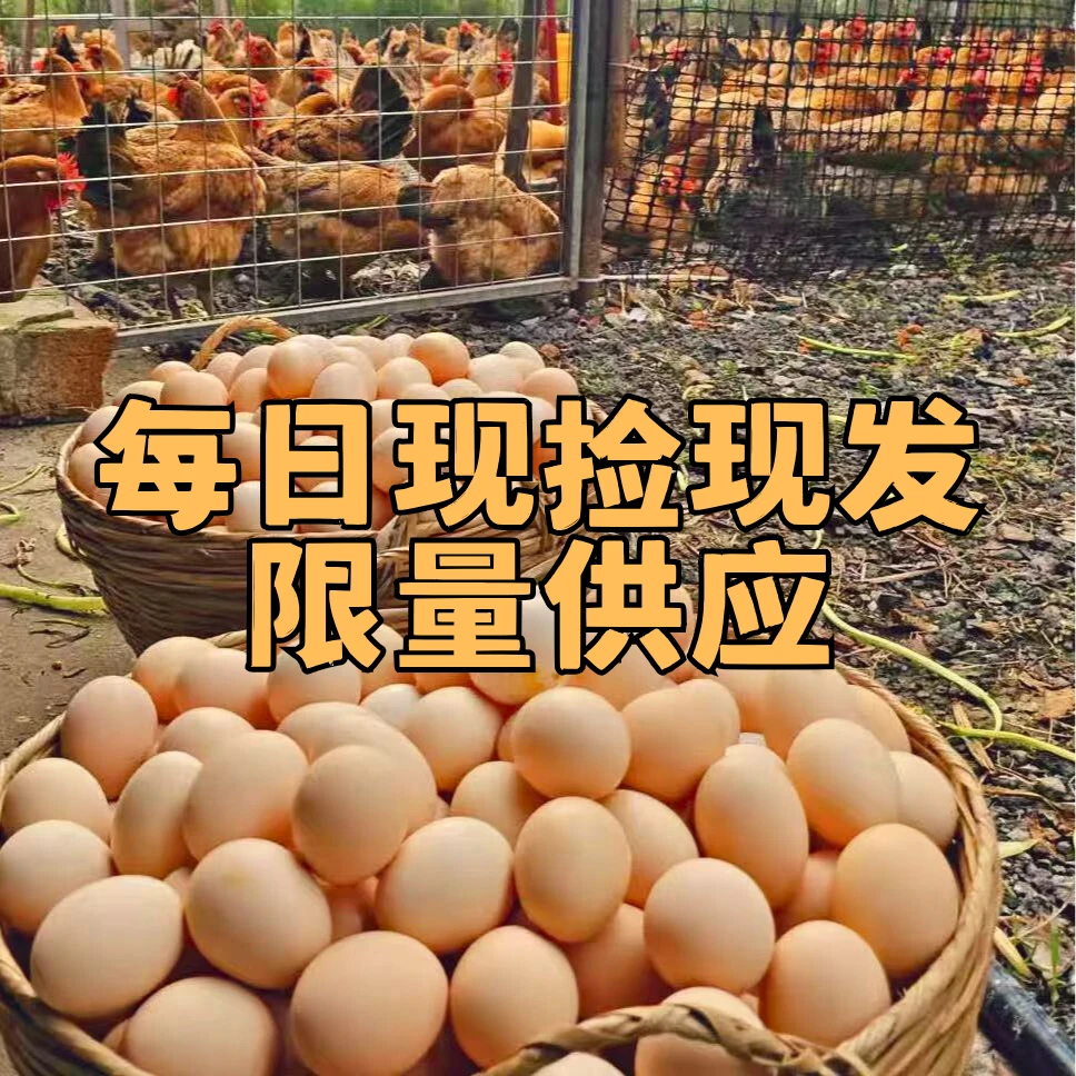 【当日现捡】50枚装散养新鲜土鸡蛋宝宝辅食农家蛋京东快递农场直达