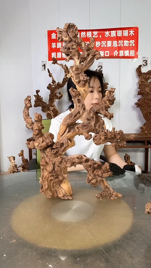 香榧木金丝红木 羊蹄甲