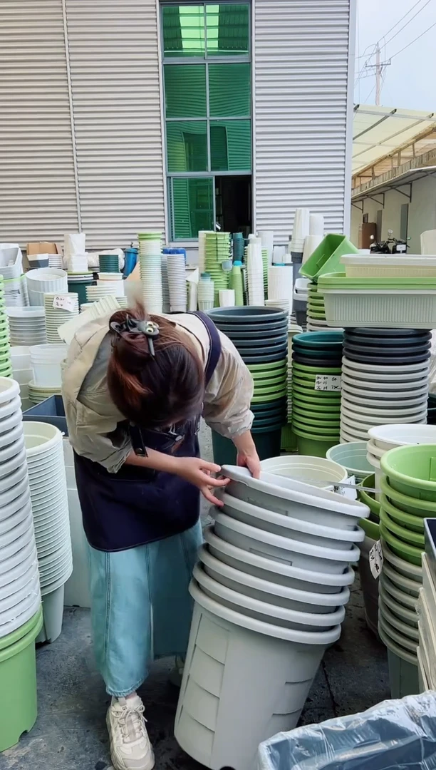 瑕疵玫瑰盆420#灰白3个无托