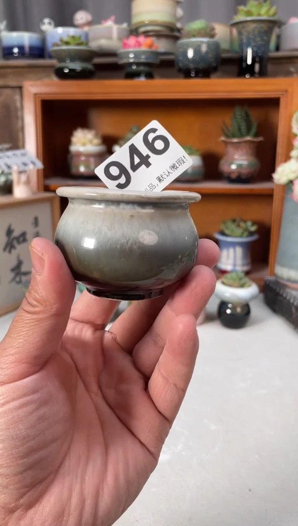 瓷片946小芳直播编号
