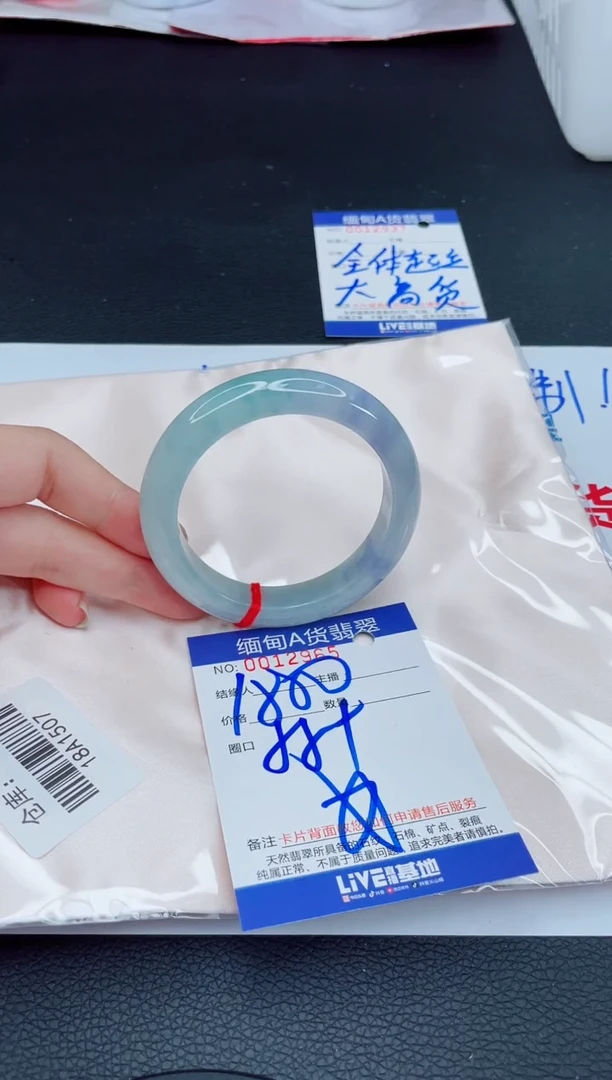 未镶嵌手镯翡翠我2