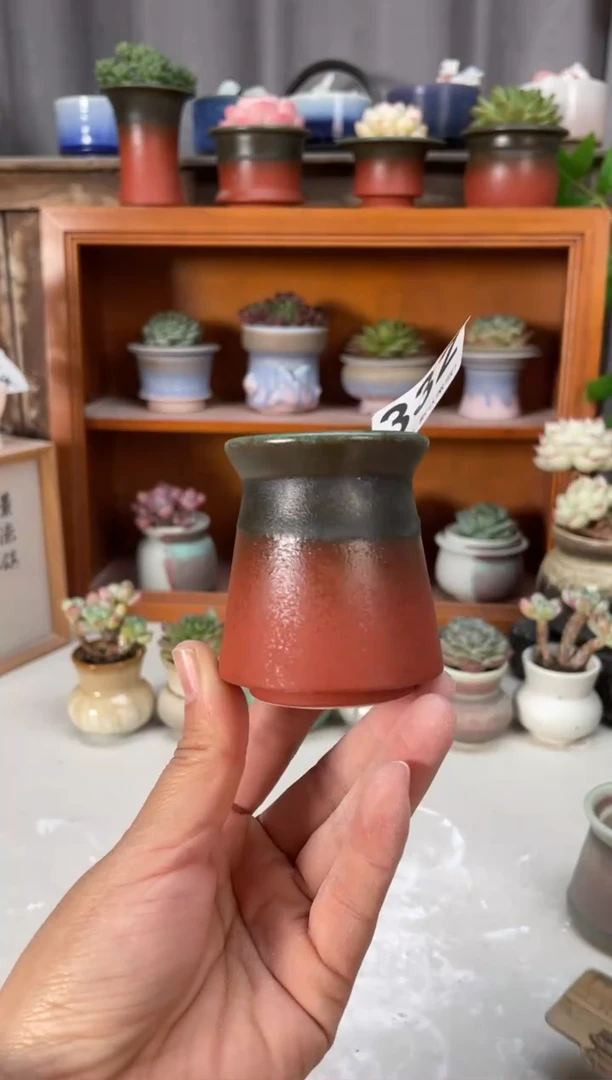 瓷片333小芳直播编号