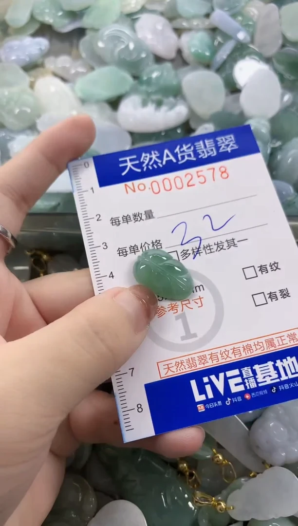 颈饰未镶嵌翡翠天然A货翡翠