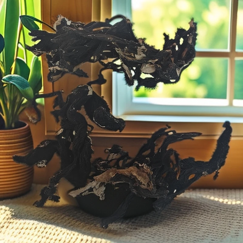 李总东南亚山货（乌灵参根）农副产品香菇类