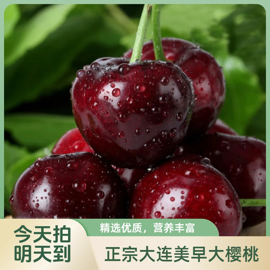 【次日达】L正宗大连美早大樱桃4J-8J【3斤礼盒装】【净果重1.8斤】脆甜爆汁应季水果孕妈生鲜宝宝辅食❤美早樱桃