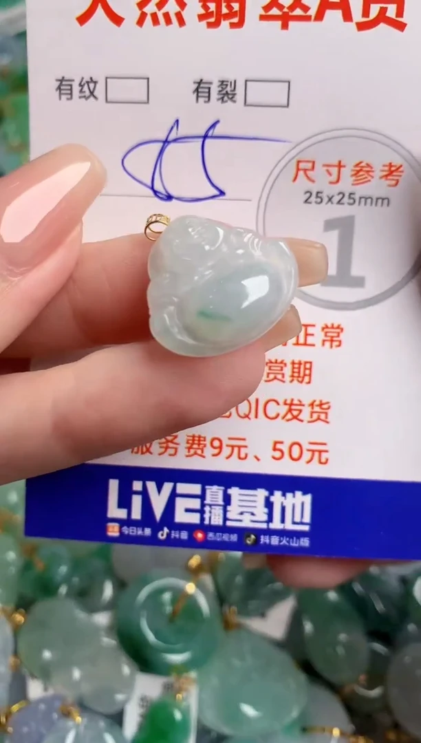 翡翠18K金镶嵌颈饰24001972