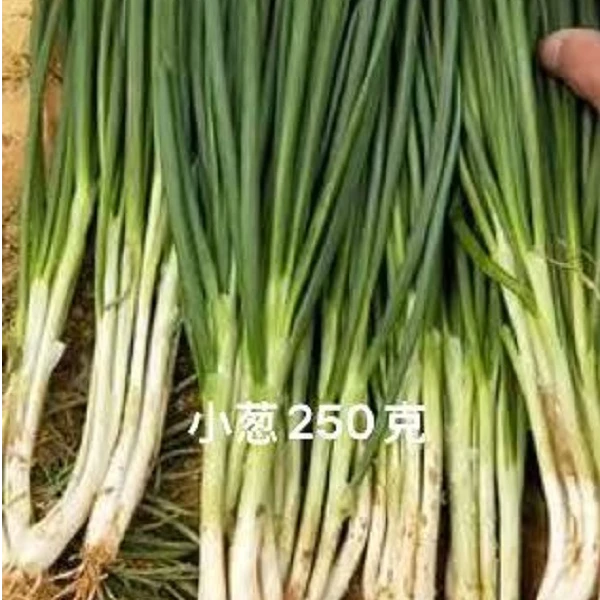 农村蘸酱菜套餐共700克±50克