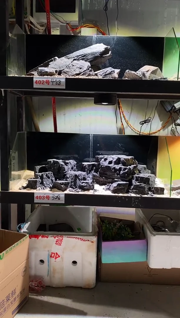403号鱼缸造景（不含底砂）