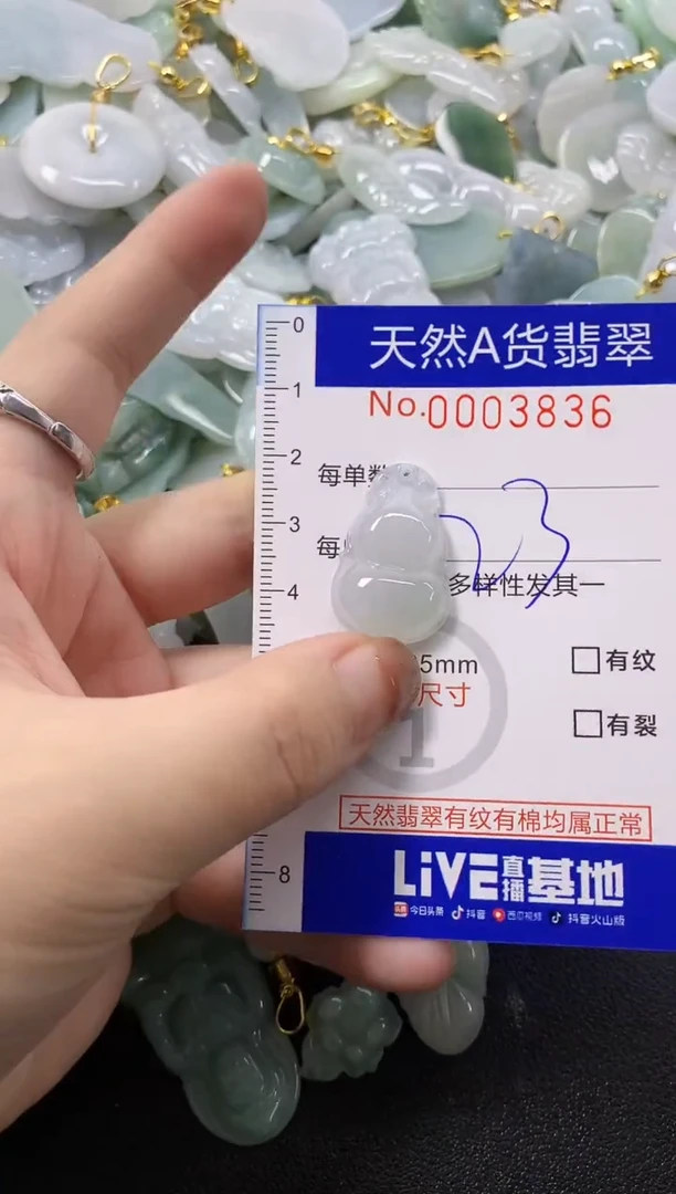 颈饰未镶嵌翡翠天然A货翡翠