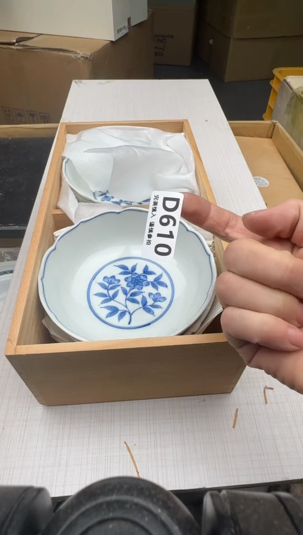瓷片兰*610