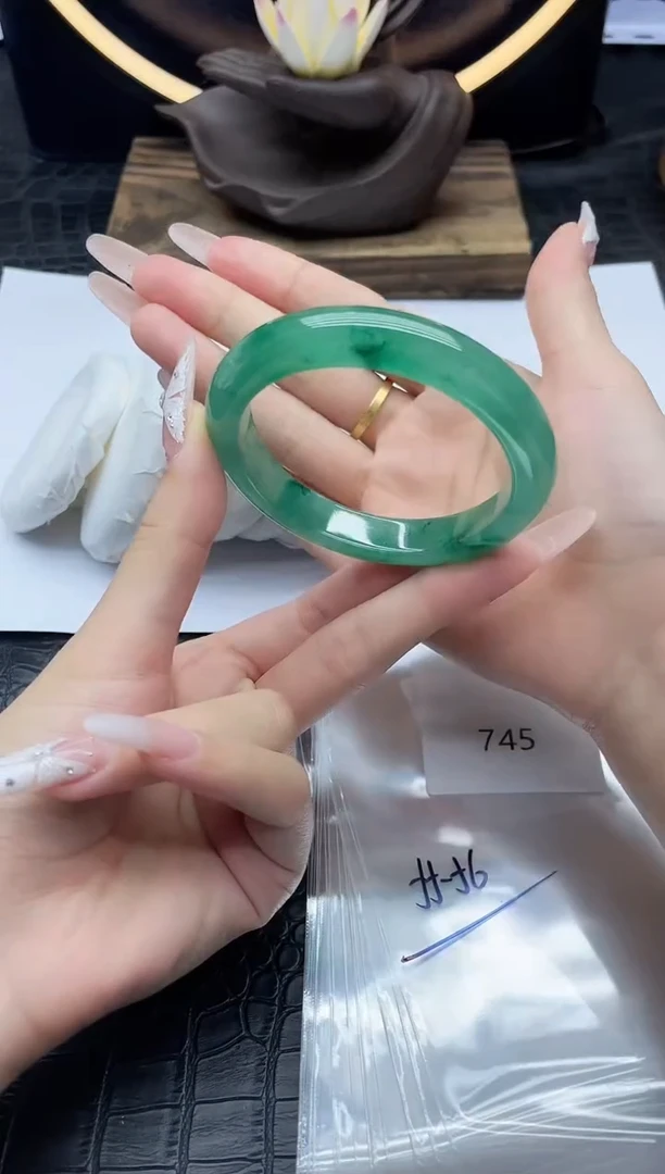 未镶嵌手镯翡翠翡翠手镯一物一图745