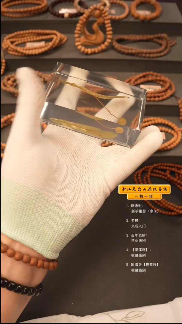 吊坠五线菩提睡***人手串