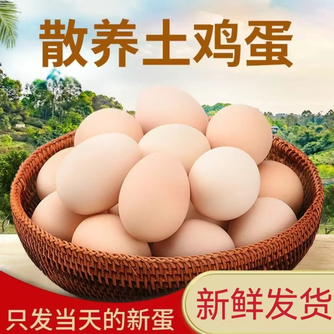 【小杨妹】新鲜土鸡蛋 粉壳鸡蛋 50枚/净重共2000g  破损包赔
