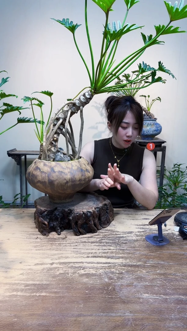 无花朵陈*衣优惠价优惠价558