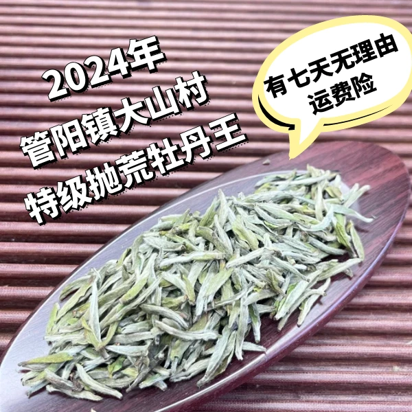 【白老板福鼎白茶A535】2024年管阳镇大山村特级抛荒牡丹王